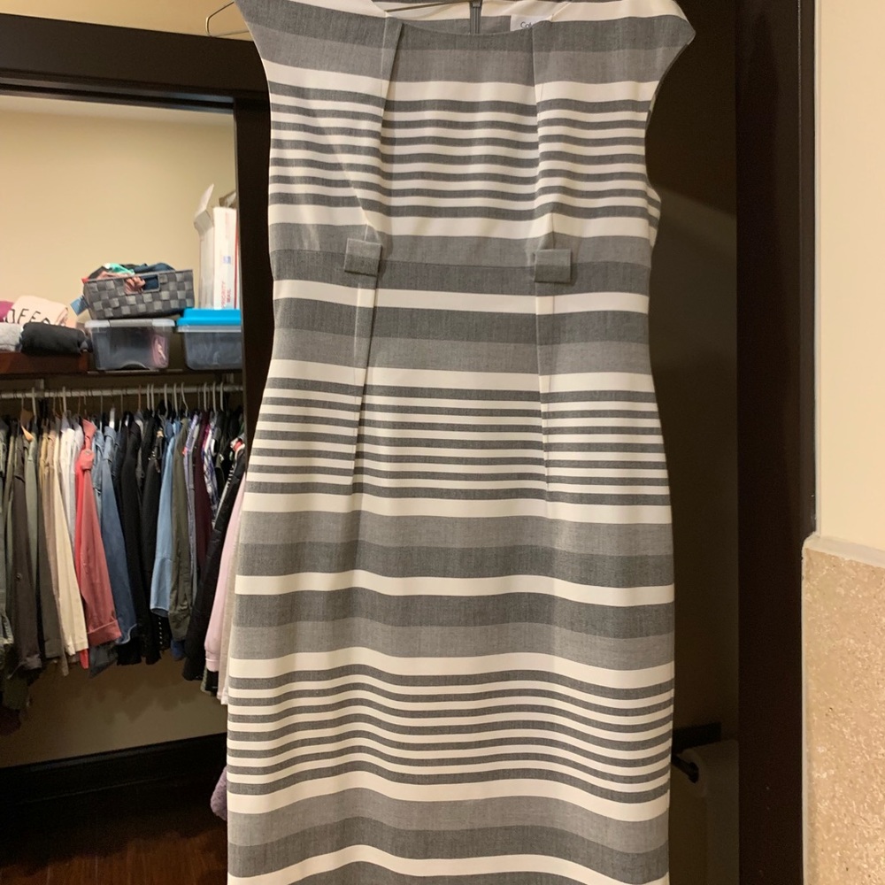 Calvin Klein Dress Size 4P